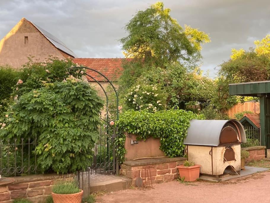 Charmante, Grosszuegige Ferienwohnung Villa Fleurie Bretten Buitenkant foto